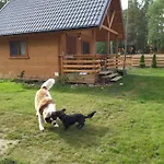 Lesne Runo Borsk, Basen Z Podgrzewana Woda *