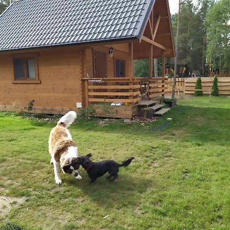 Lesne Runo Borsk, Basen Z Podgrzewana Woda *