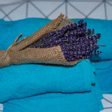 Дом отдыха Lesne Runo Borsk, Basen Z Podgrzewana Woda *