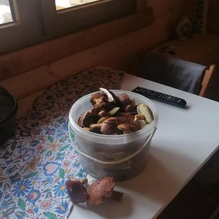 Lesne Runo Holiday home *