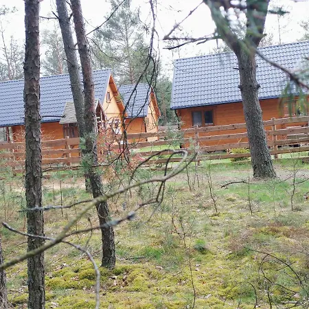Lesne Runo Holiday home Borsk