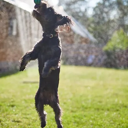 Lesne Runo Borsk, Basen Z Podgrzewana Woda Дом отдыха *
