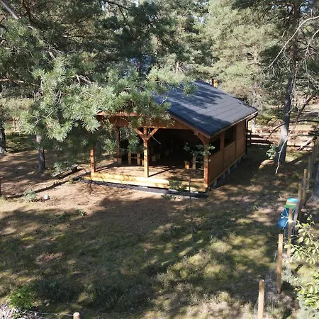 Lesne Runo Borsk, Basen Z Podgrzewana Woda * Borsk