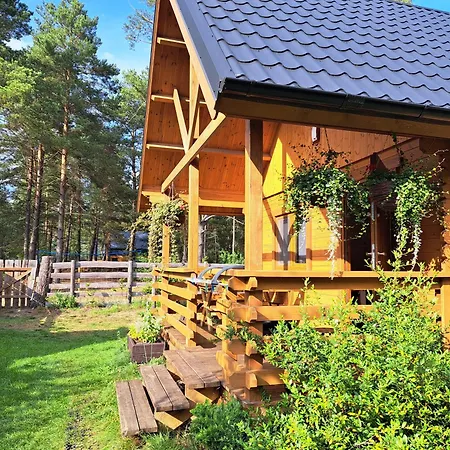 Lesne Runo Borsk, Basen Z Podgrzewana Woda Borsk