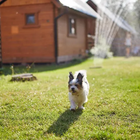 Lesne Runo Borsk, Basen Z Podgrzewana Woda Борск