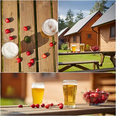 Дом отдыха Lesne Runo Borsk, Basen Z Podgrzewana Woda *