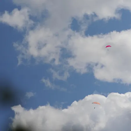 Lesne Runo Borsk, Basen Z Podgrzewana Woda