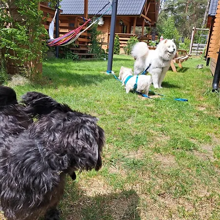 Lesne Runo Borsk, Basen Z Podgrzewana Woda Ferienhaus Borsk