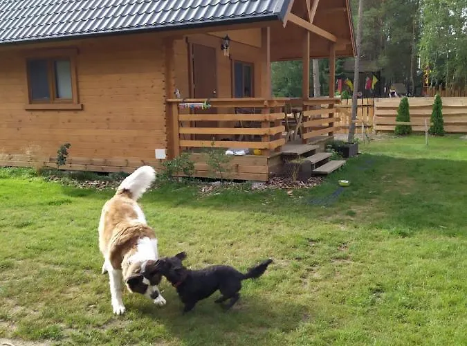 Lesne Runo Borsk, Basen Z Podgrzewana Woda *