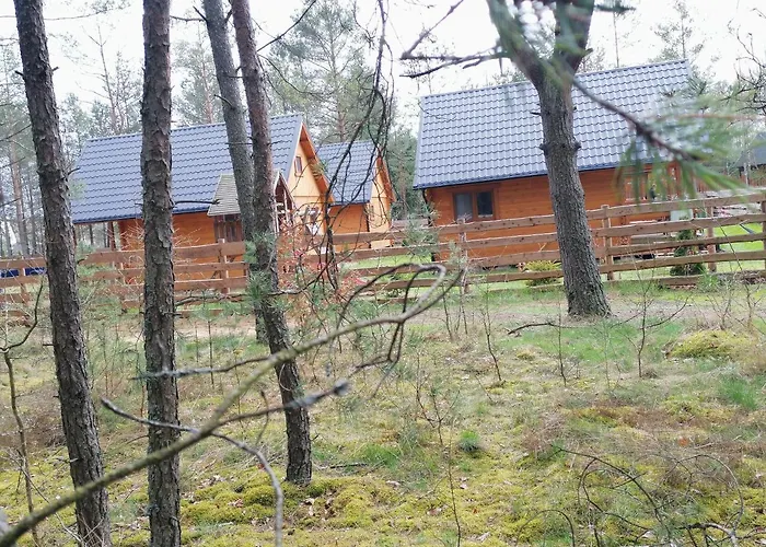 Lesne Runo Borsk, Basen Z Podgrzewana Woda Сasa de vacaciones Borsk