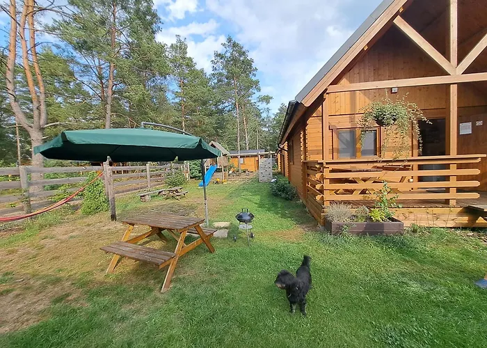 Lesne Runo Borsk, Basen Z Podgrzewana Woda * Borsk