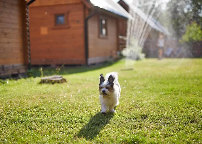 Lesne Runo Borsk, Basen Z Podgrzewana Woda Borsk