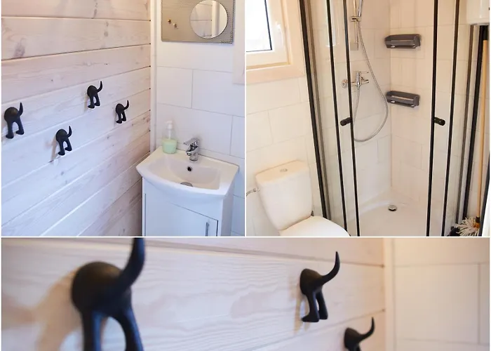 Lesne Runo Borsk, Basen Z Podgrzewana Woda